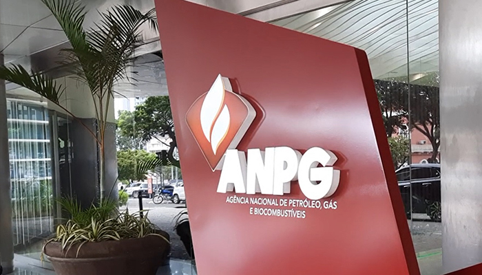 ANPG com resultados operacionais negativos vê lucros afundarem 65%